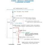 schemat instalacji ogrodowej
